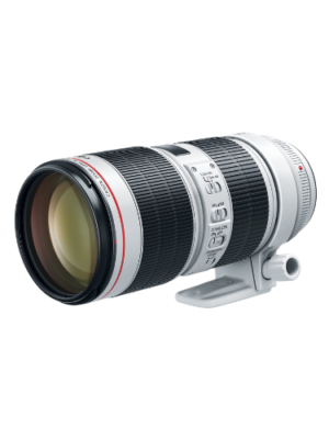 Canon EF 70-200mm